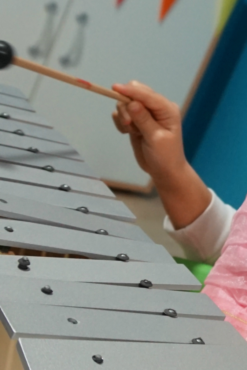 Iiniciació musical:1r grau