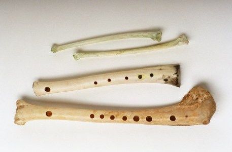swanbone flutes